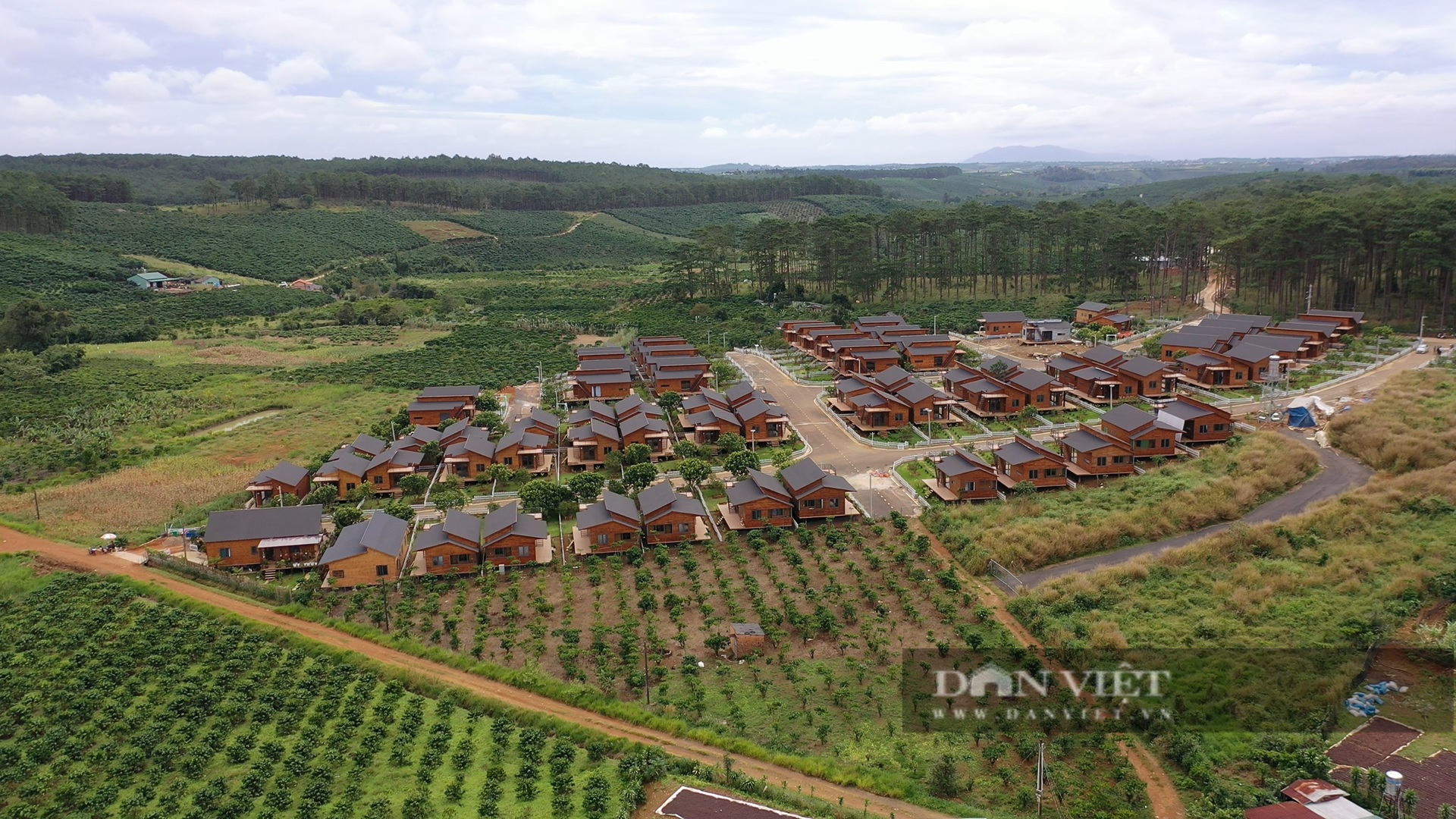 Huyện Bảo Lâm (Lâm Đồng): 77 gia đình hiến đất làm đường để tách mới gần 17.000 thửa đất - Ảnh 2.