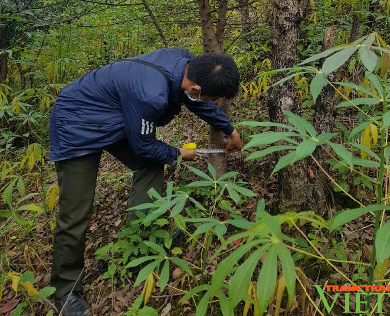 Hạt Kiểm lâm Mai Sơn: Làm tốt công tác bảo vệ rừng và PCCCR - Ảnh 2.