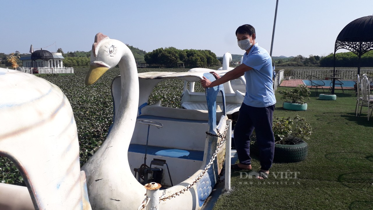 Thái Nguyên: Bèo tây bủa vây kín mặt hồ tại Khu du lịch sinh thái Hồ Kim Đĩnh - Ảnh 3.