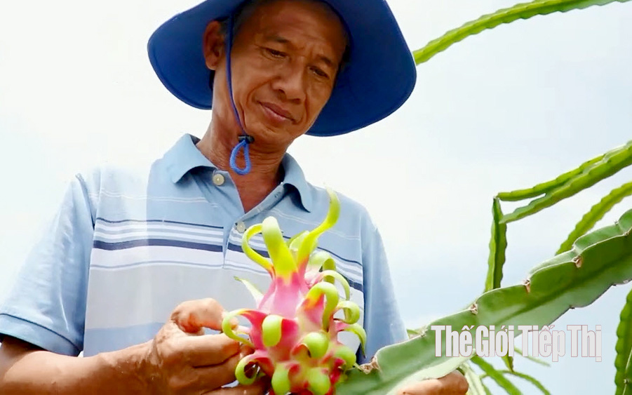 Bình Thuận: Đóng cửa khẩu, giá trái cây lại rớt thảm