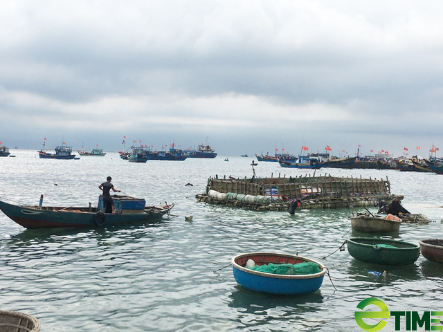 Quảng Ngãi: Siết chặt khai thác cát biển để trồng “vàng trắng” ở đảo Lý Sơn  - Ảnh 1.