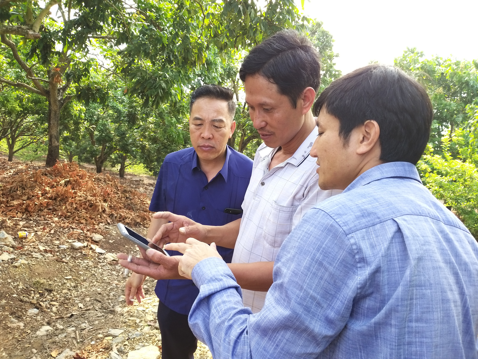 Bộ trưởng Lê Minh Hoan: Định vị lại ngành nông nghiệp để không nôn nóng chuyển đồi chè, ruộng lúa thành bất động sản - Ảnh 2.