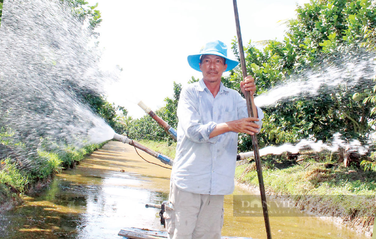  Chuyển đổi từ cây lúa, rừng tràm sang trồng chanh, mít, nông dân xã biên giới Long An thu lời “khủng” mỗi năm - Ảnh 3.