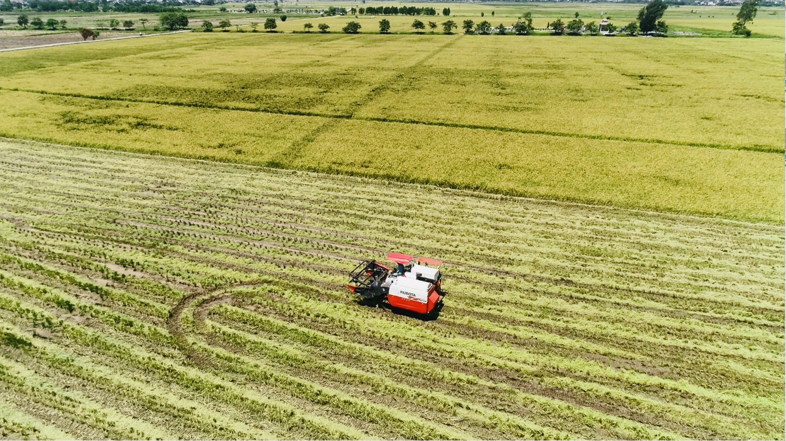 Tập đoàn TH động thổ Nhà máy Chế biến thực phẩm sạch Thái Bình - Ảnh 4.