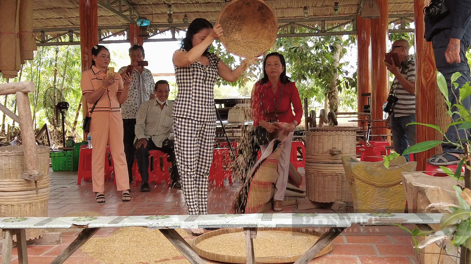 Lạ đời, cả năm chỉ cấy 1 vụ lúa mùa kiểu &quot;ngày xửa ngày xưa&quot;, thế mà nhiều người kéo đến Kiên Giang xem - Ảnh 7.