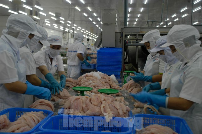Nhiều doanh nghiệp Việt Nam tham gia hội chợ thủy sản hàng đầu thế giới - Ảnh 2.