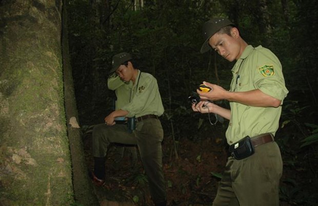 Ngắm những loài thú rừng quý hiếm, cây rừng cổ thụ kỳ dị ở khu dự trữ sinh quyển mới nhất của Việt Nam - Ảnh 2.
