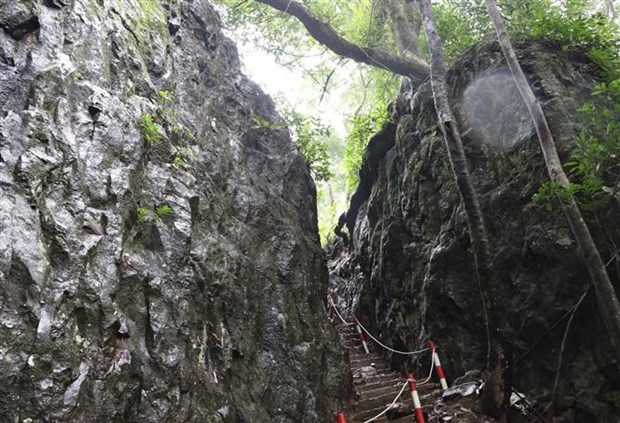Ngắm những loài thú rừng quý hiếm, cây rừng cổ thụ kỳ dị ở khu dự trữ sinh quyển mới nhất của Việt Nam - Ảnh 3.