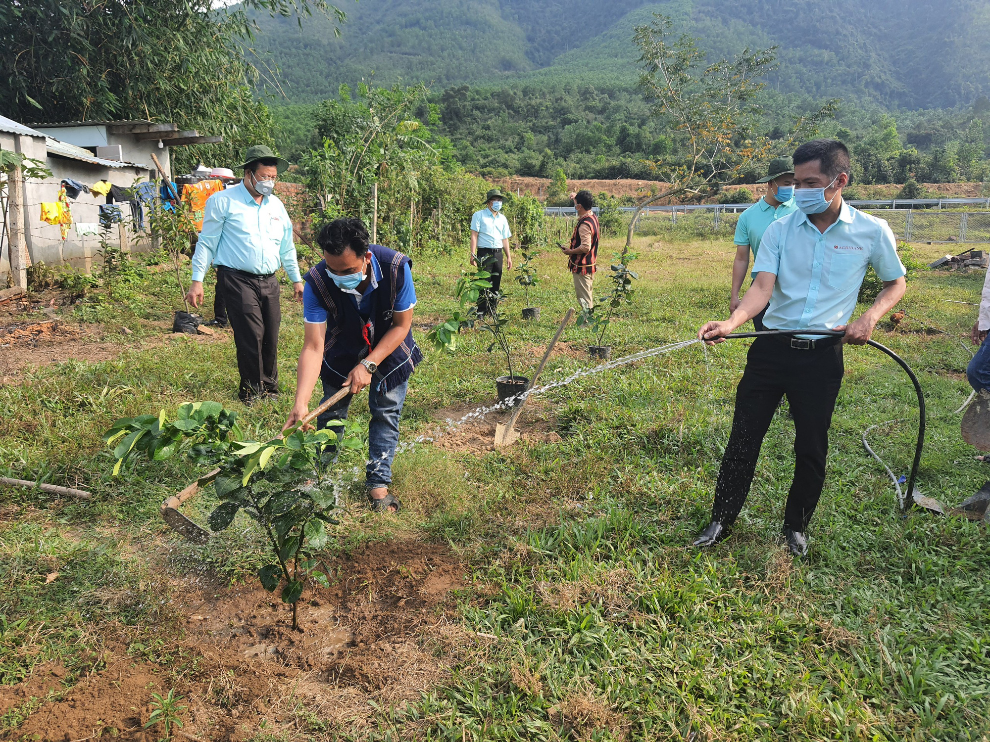 Đà Nẵng: Đoàn thanh niên Agribank khu vực miền Trung tặng vườn cây sinh kế cho thanh niên khởi nghiệp - Ảnh 4.