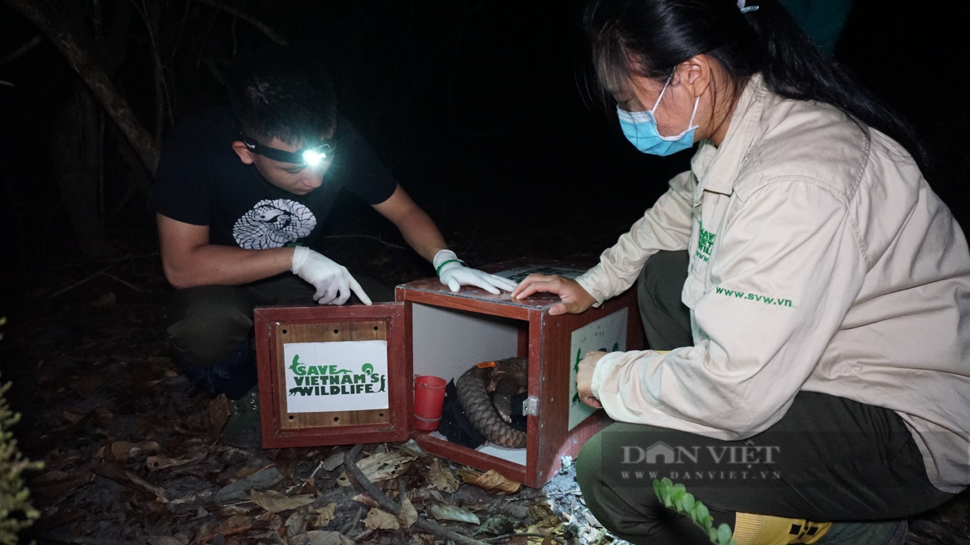 Tái thả 12 cá thể Động vật có vú bị săn bắt nhiều nhất trên Thế giới ở Việt Nam - Ảnh 5.