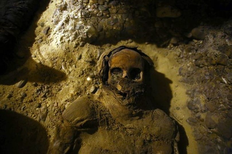 Phát hiện bất ngờ về 50 xác ướp trong lăng mộ Ai Cập cổ đại - Ảnh 1.