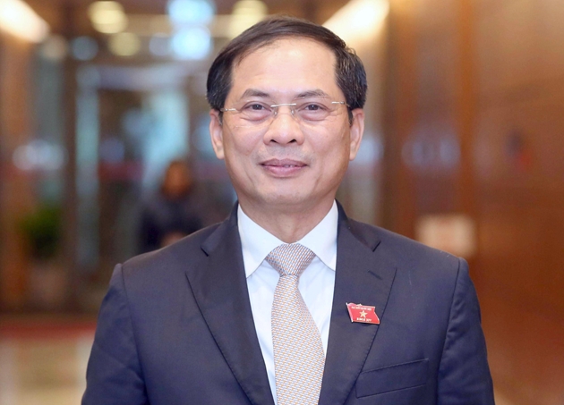Bộ trưởng Bùi Thanh Sơn lần đầu trả lời chất vấn về giải pháp phòng chống tham nhũng, tiêu cực trong hoạt động ngoại giao- Ảnh 3.