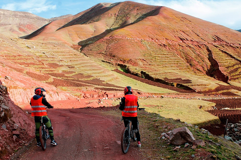 Peru: Tour thám hiểm dãy núi Andes với điểm nhấn lạc đà Alcapa quý giá - Ảnh 6.