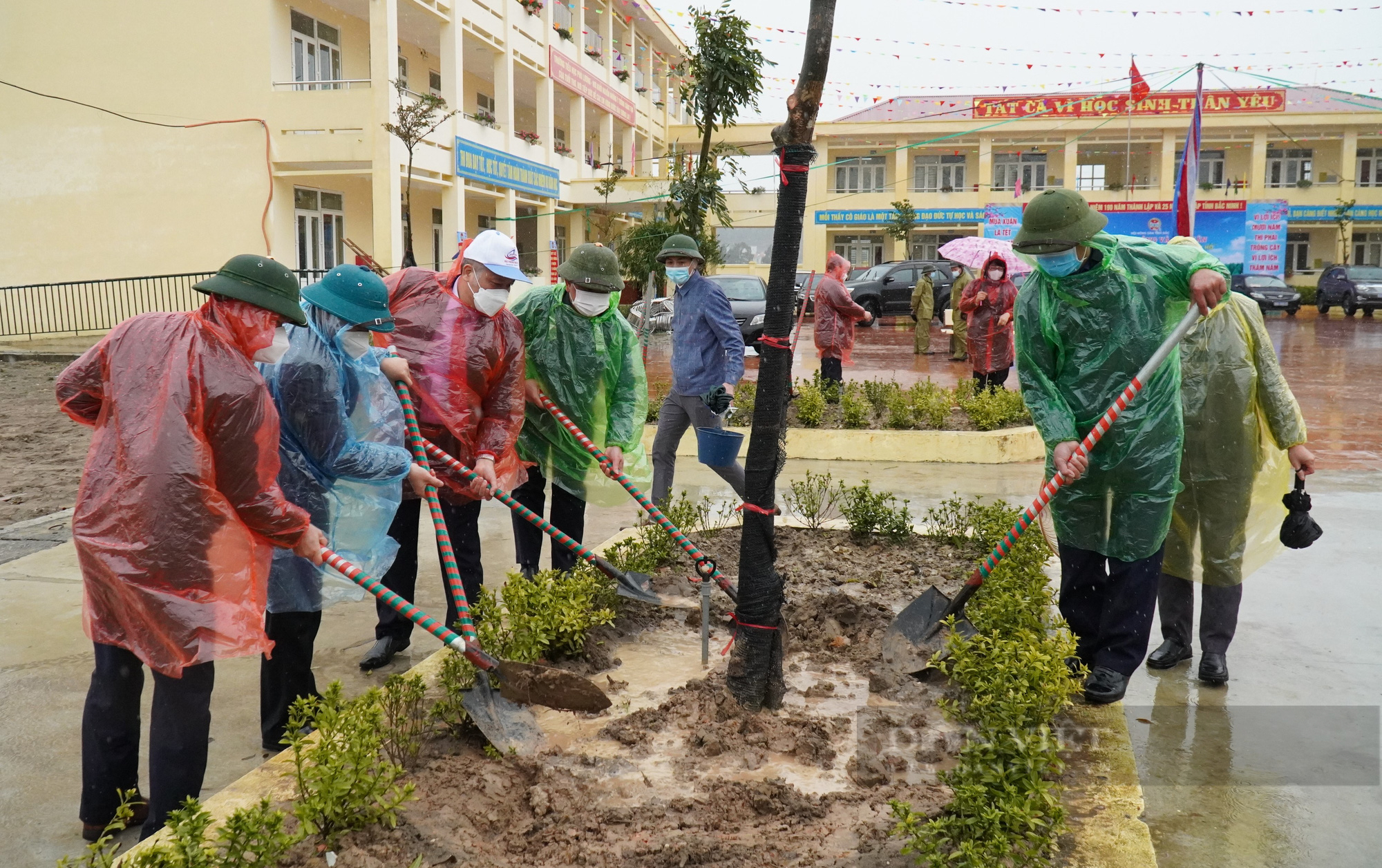 Hội Nông dân Bắc Ninh: Phát động Tết trồng cây, phấn đấu năm 2022 trồng mới 60.000 cây xanh - Ảnh 2.