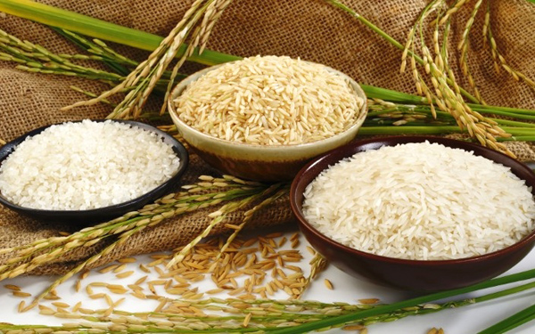 Thị trường gạo biến động mạnh, dự báo 'nóng' về giá và xuất khẩu gạo - Ảnh 2.