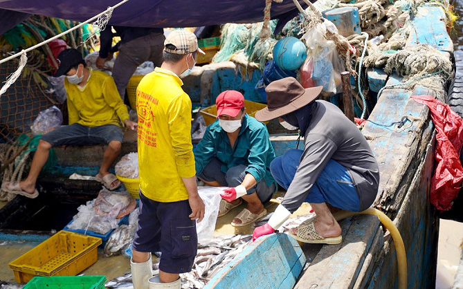 Bình Thuận: Giá xăng dầu nặng trĩu, ra khơi 3 ngày về nhà lỗ mất 40 triệu, tàu cá nằm bờ la liệt 