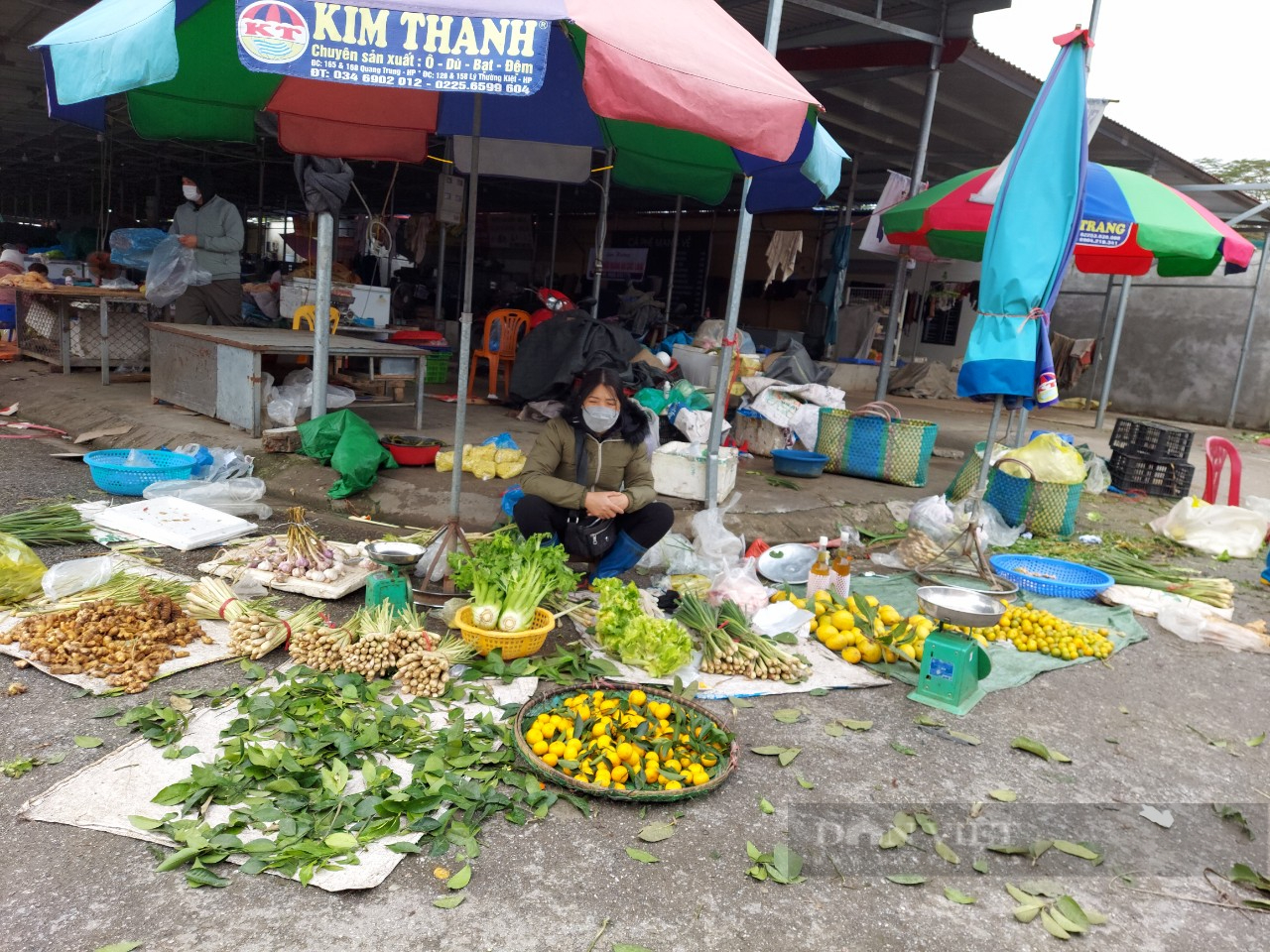 Hải Phòng: Lá xông mùa COVID-19 bán đầy chợ, hút khách hơn rau xanh - Ảnh 3.