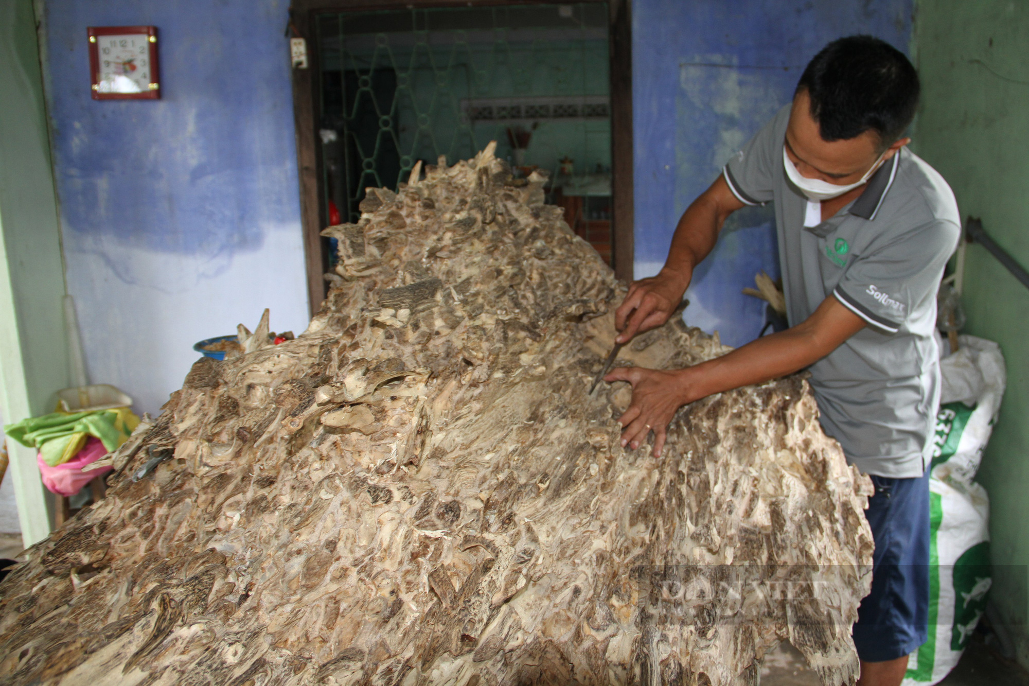 Chùm ảnh: Độc đáo nghề soi trầm hàng chục năm ở Khánh Hòa - Ảnh 6.