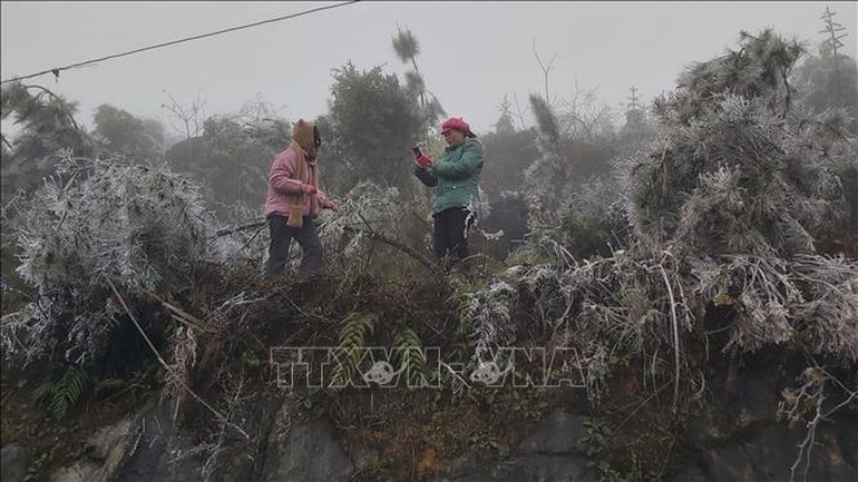 Băng tuyết phủ trắng cao nguyên đá Đồng Văn trong đợt rét &quot;rất hiếm&quot; - Ảnh 2.