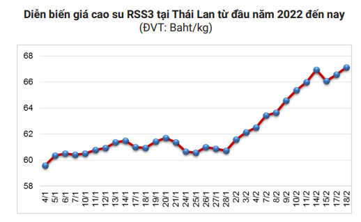 Giá cao su hôm nay 22/2 lại bị 'đe dọa' nghiêm trọng - Ảnh 6.