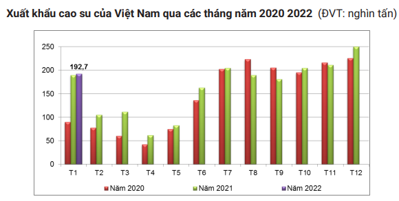 Giá cao su hôm nay 22/2 lại bị 'đe dọa' nghiêm trọng - Ảnh 8.