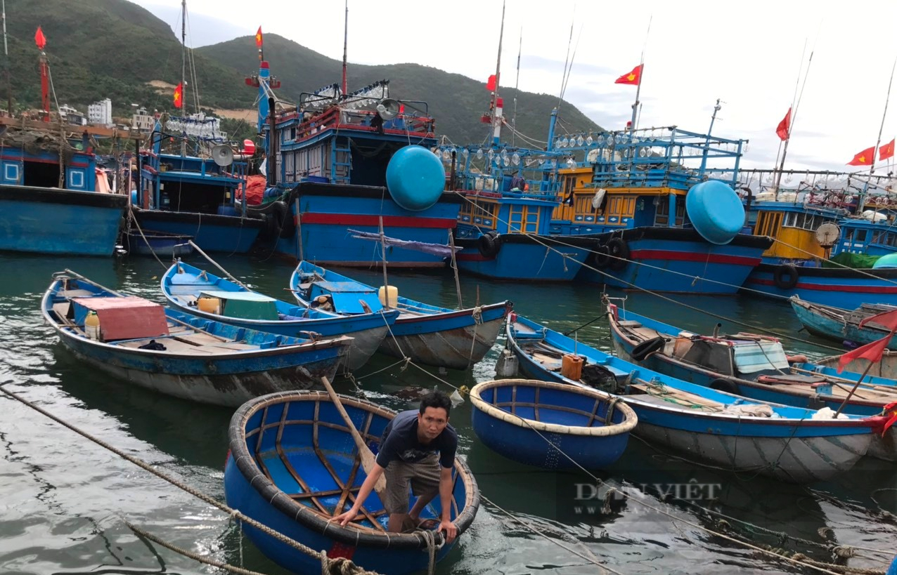Xăng dầu lên giá, hàng trăm tàu cá Khánh Hòa phải nằm bờ - Ảnh 3.