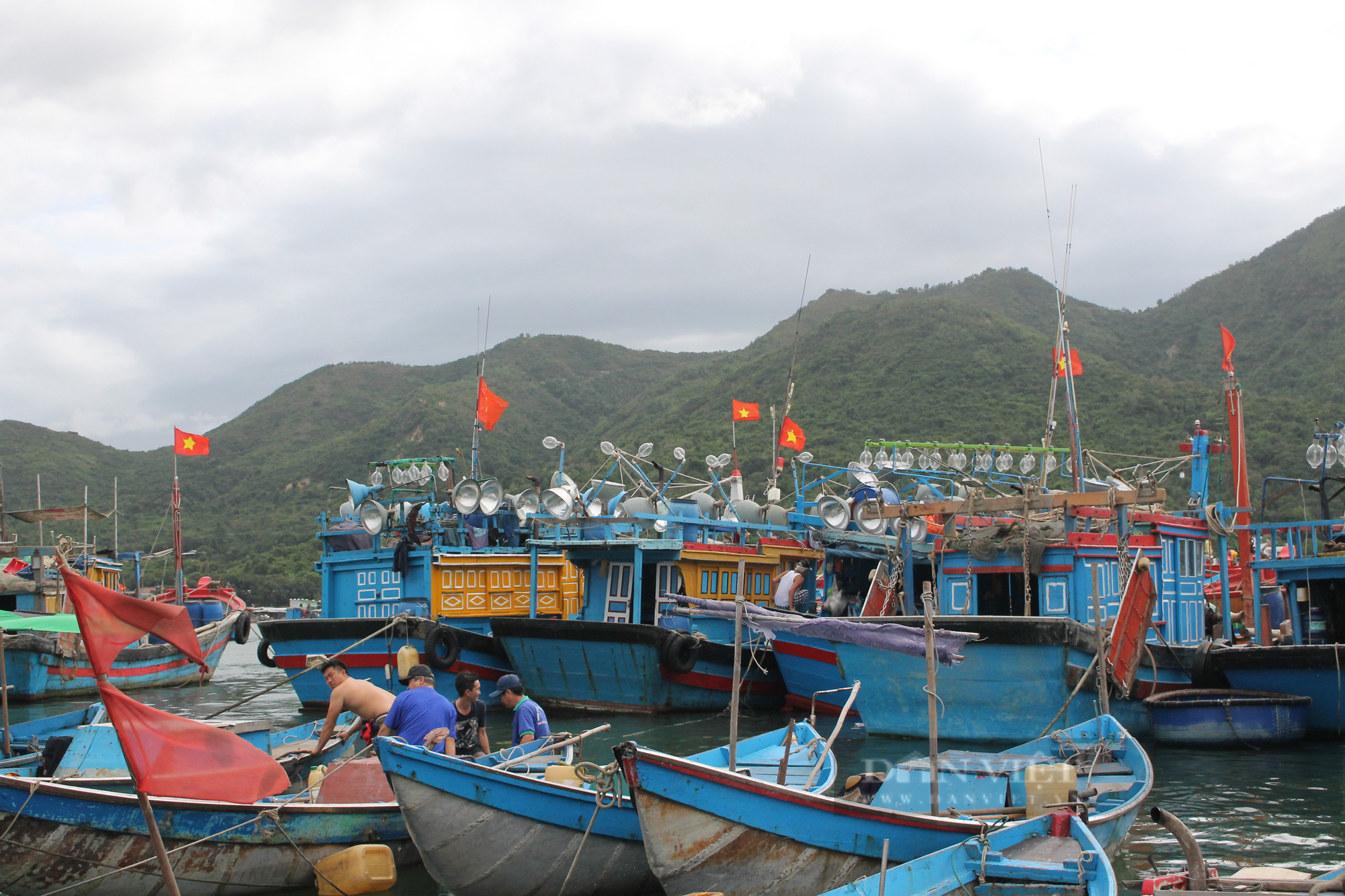 Xăng dầu lên giá, hàng trăm tàu cá Khánh Hòa nằm bờ - Ảnh 1.