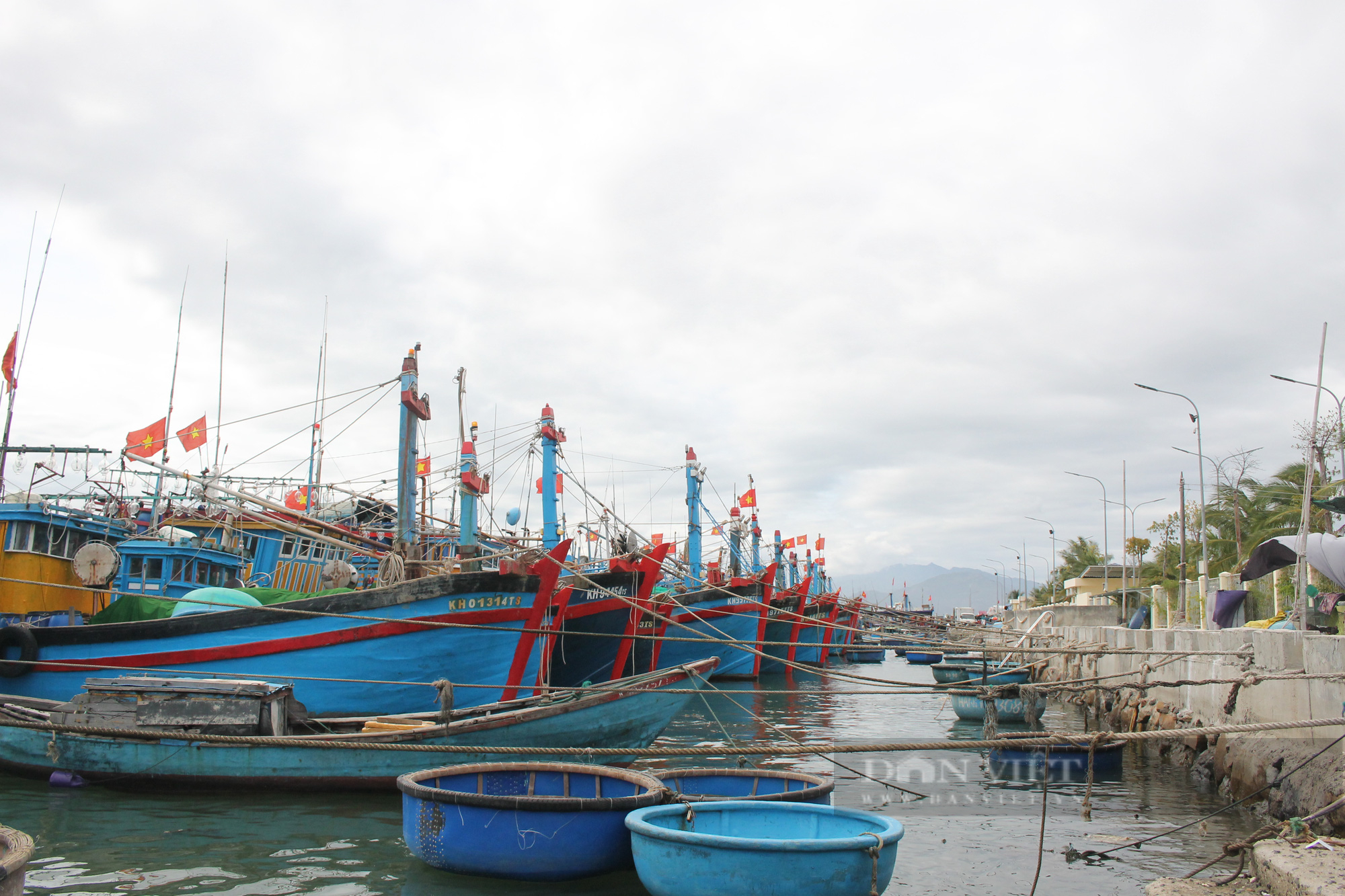 Xăng dầu lên giá, hàng trăm tàu cá Khánh Hòa nằm bờ - Ảnh 2.