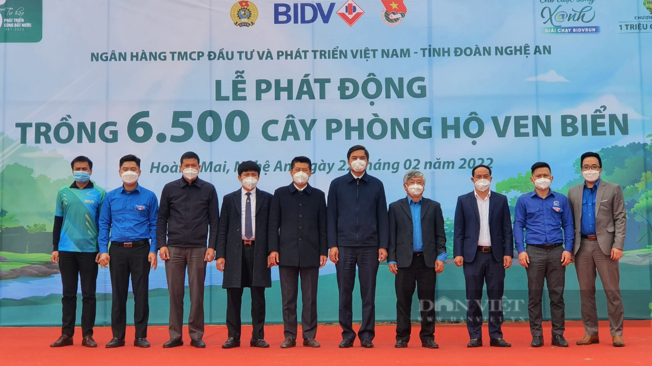 Ngân hàng BIDV trồng 6.500 cây xanh phòng hộ vùng ven biển tại Nghệ An - Ảnh 3.