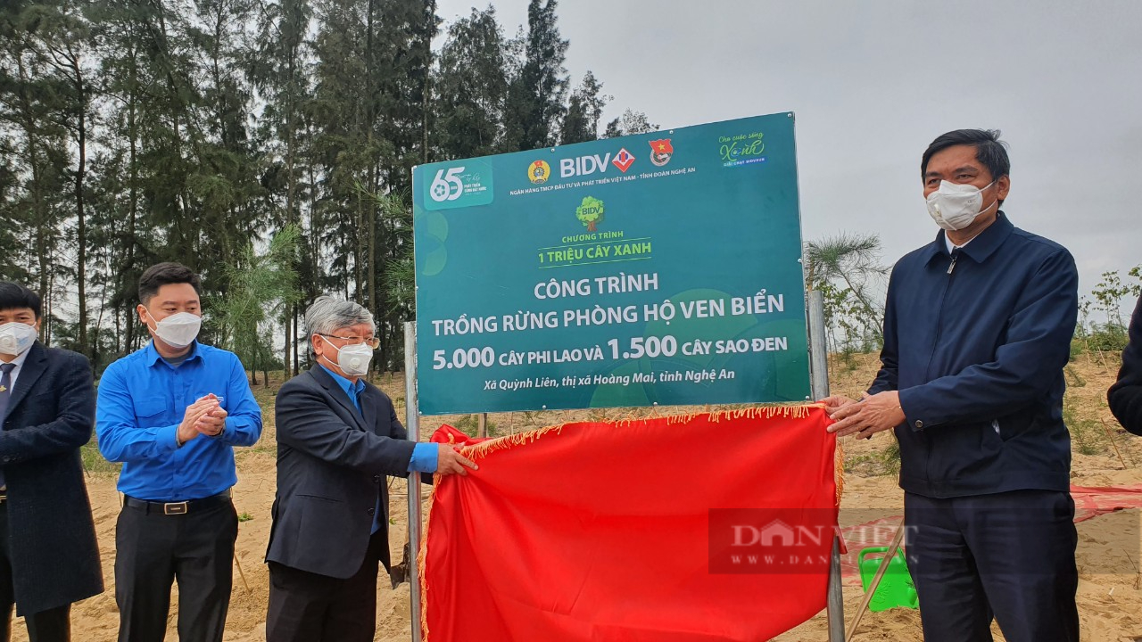 Ngân hàng BIDV trồng 6.500 cây xanh phòng hộ vùng ven biển tại Nghệ An - Ảnh 4.