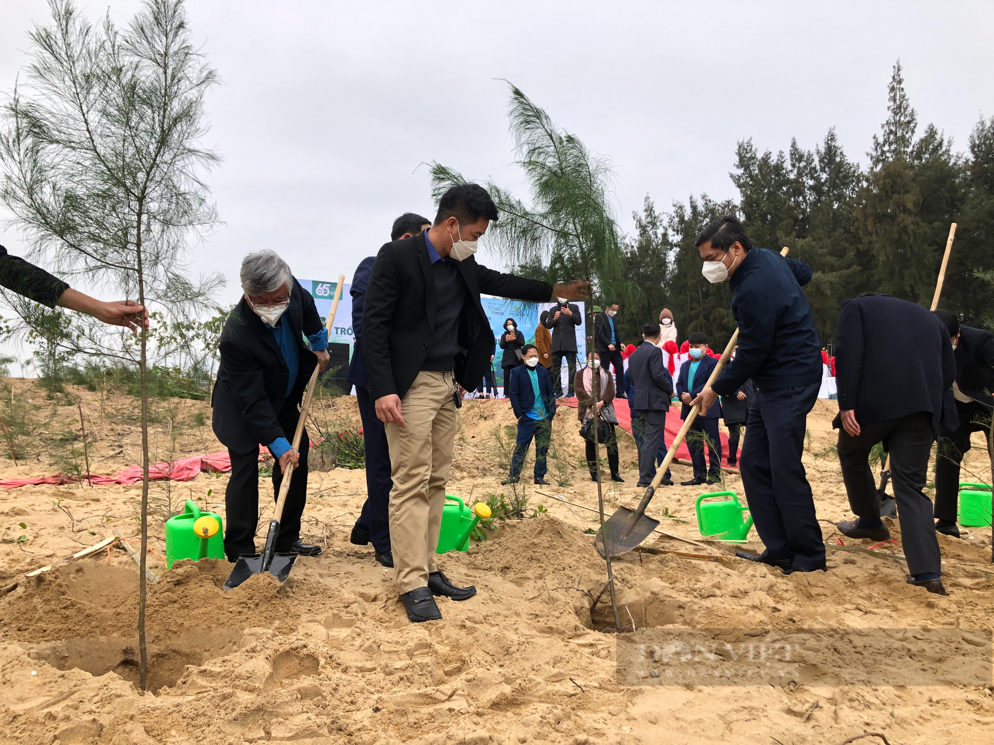 Ngân hàng BIDV trồng 6.500 cây xanh phòng hộ vùng ven biển tại Nghệ An - Ảnh 5.