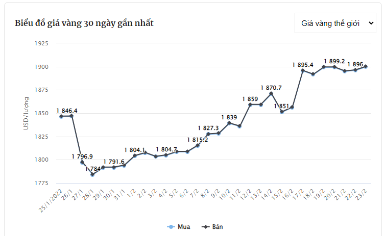 Giá vàng hôm nay 23/2: Tiếp tục tăng cao, vàng SJC vượt đỉnh lịch sử, tiến sát 64 triệu đồng - Ảnh 5.