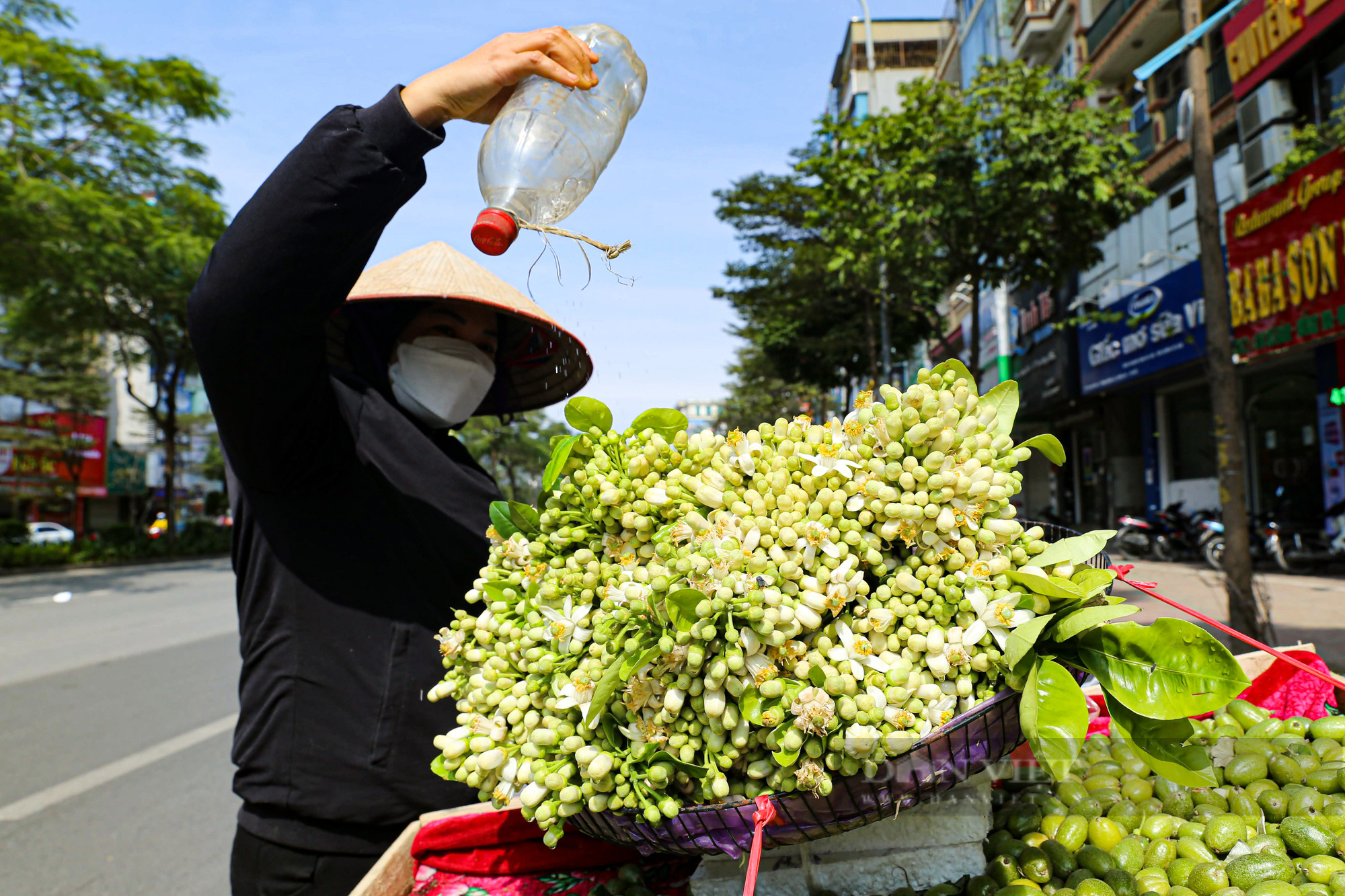 Hà Nội ngát hương mùa hoa bưởi đầu xuân - Ảnh 8.