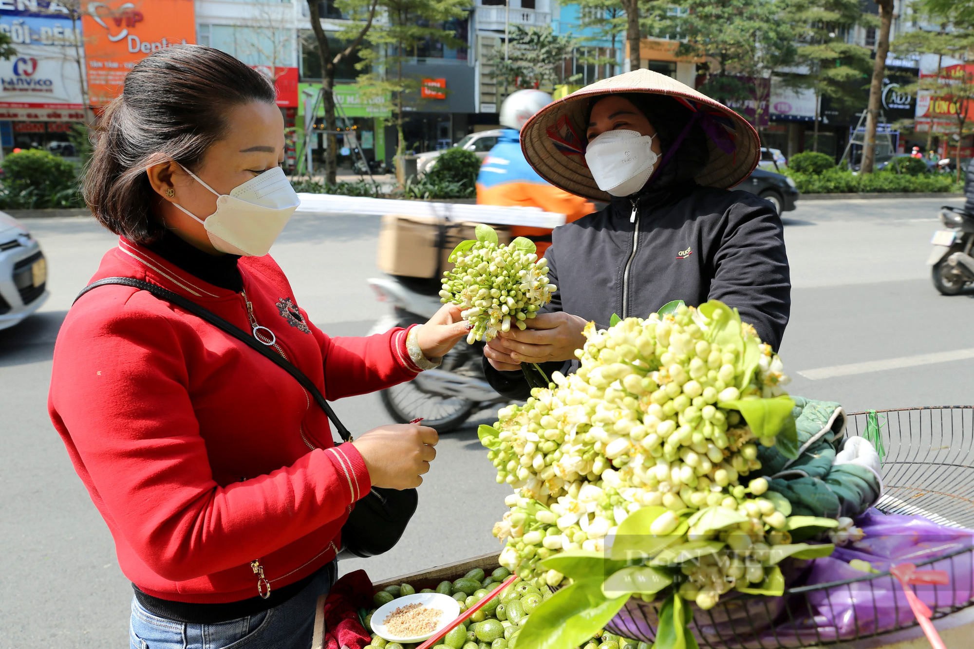 Hà Nội ngát hương mùa hoa bưởi đầu xuân - Ảnh 10.