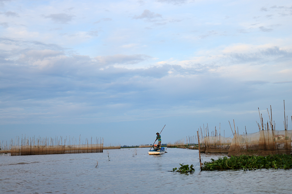 Đổ dớn bắt cá đặc sản nơi đầu nguồn sông Hậu ở An Giang, còn đâu cảnh cá chạy dày đặc, mua được cả tấn - Ảnh 6.