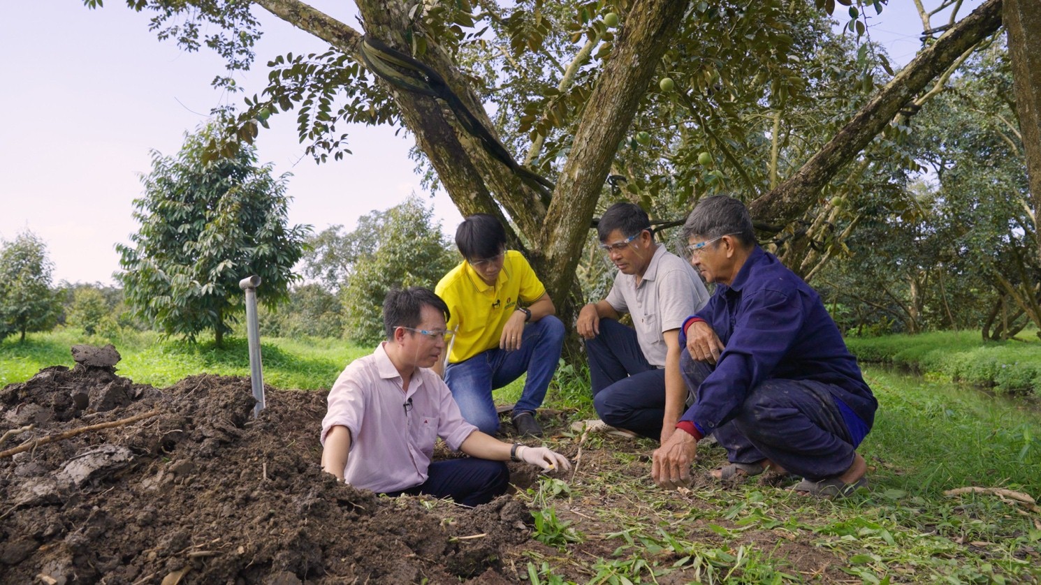 Ưu tiên chọn phân bón NPK Cà Mau: Dinh dưỡng toàn diện cho mùa vụ - Ảnh 1.