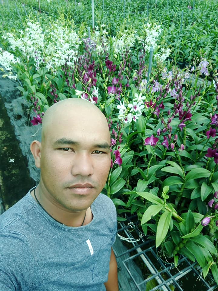 Từ trẻ mồ côi thành chủ vườn mai kiểng lớn nhất nhì Sài Gòn - Ảnh 3.
