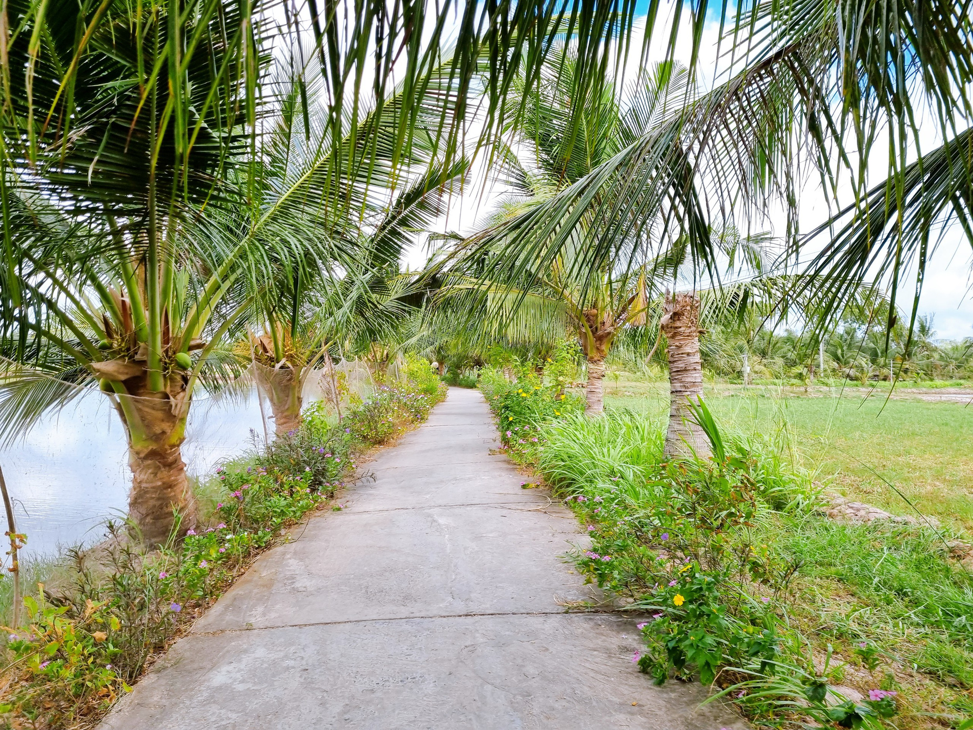 Cồn Chim- Điểm du lịch cộng đồng hấp dẫn của Trà Vinh - Ảnh 2.