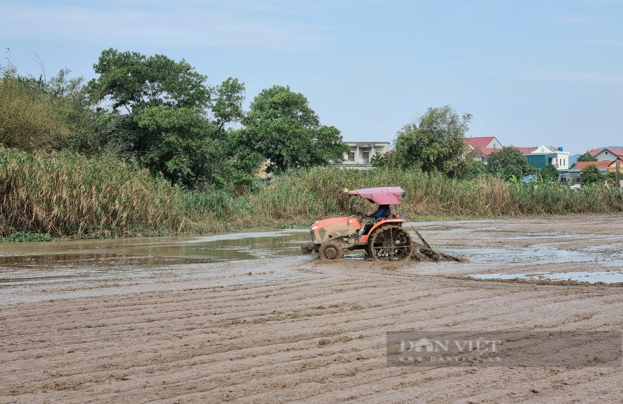 Ninh Bình: Lạnh “nghiến răng” nông dân vẫn xuống đồng gieo cấy lúa xuân - Ảnh 5.