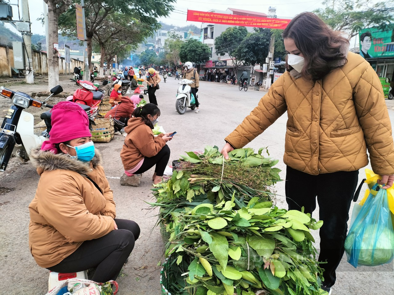 Sơn La: Người dân đổ xô mua gừng, sả, vỏ bưởi… xông mũi, khiến các mặt hàng trên tăng phi mã - Ảnh 2.