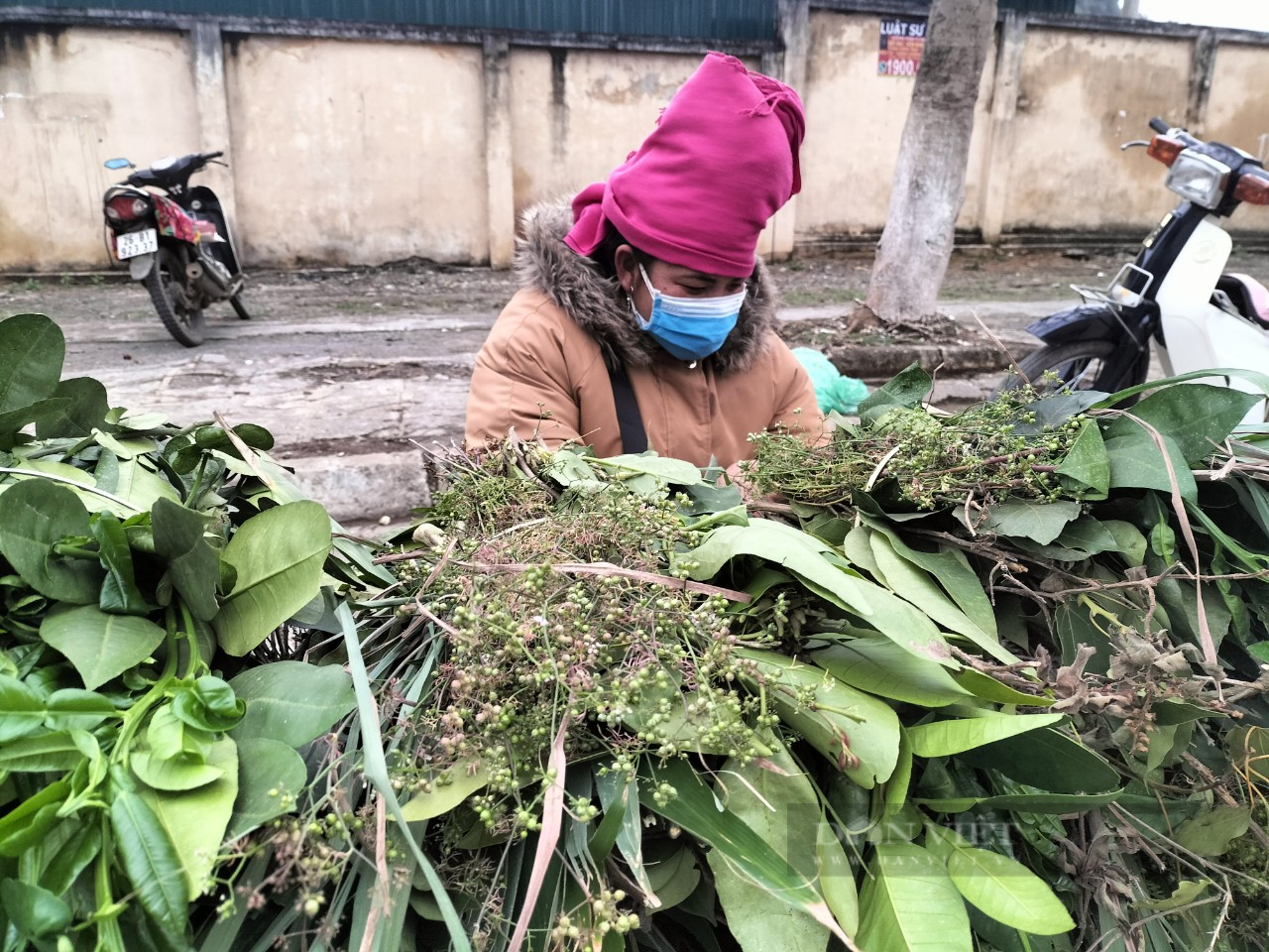 Sơn La: Người dân đổ xô mua gừng, sả, vỏ bưởi… xông mũi, khiến các mặt hàng trên tăng phi mã - Ảnh 3.