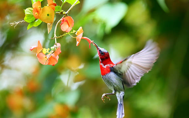 Người sinh ngày Âm lịch này giỏi kết bạn, làm ăn phát đạt, sung túc cả đời