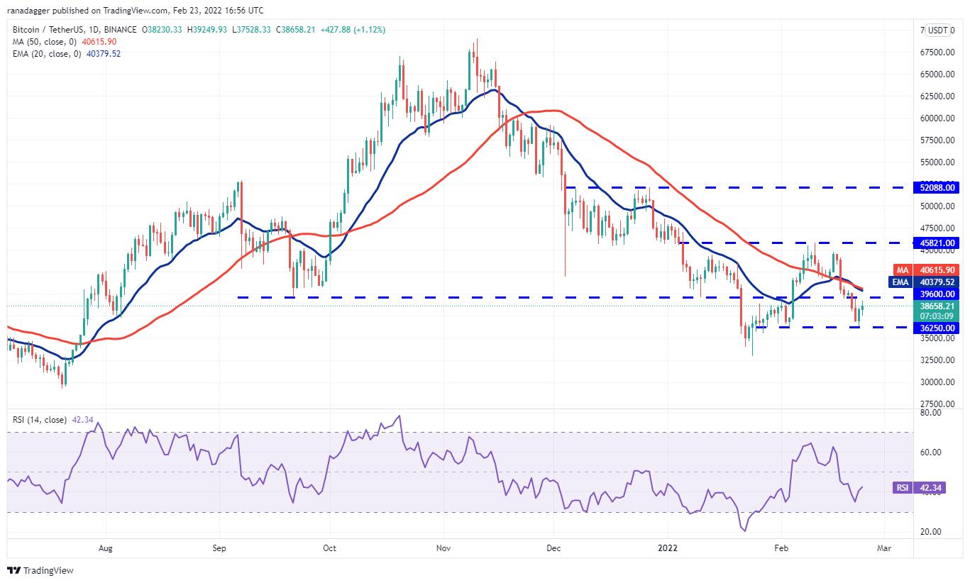 Giá Bitcoin hôm nay 24/2: Bitcoin có dấu hiệu hồi phục, thị trường tăng nhẹ - Ảnh 1.