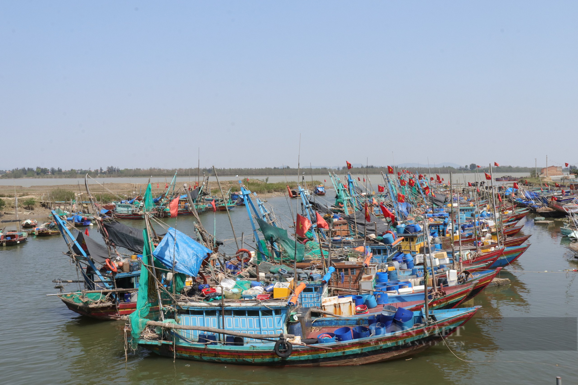 Giá xăng dầu tăng cao, ngư dân Thanh Hóa không dám ra khơi vì sợ lỗ - Ảnh 5.