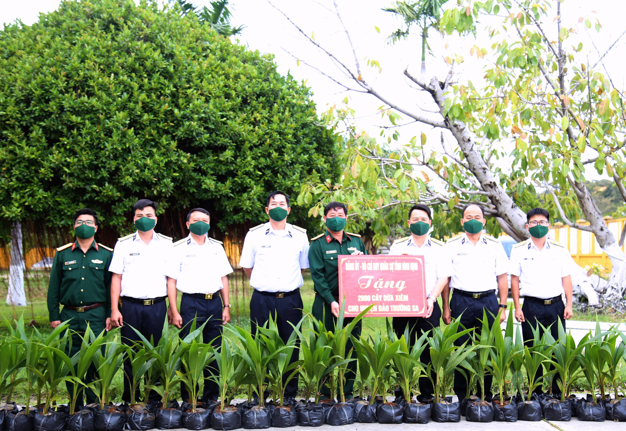 Khánh Hòa: Gởi tặng trên 2 ngàn cây dừa giống cho huyện đảo Trường Sa - Ảnh 1.