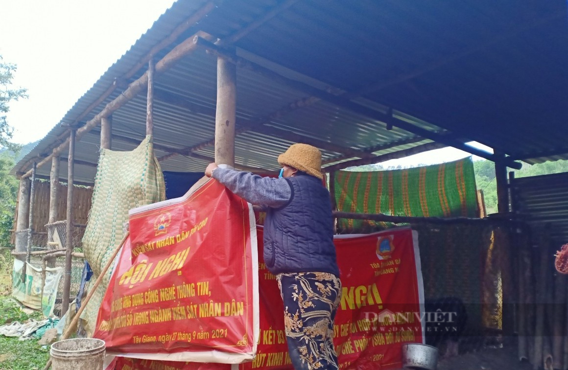 Quảng Nam: Người dân Tây Giang tích cực phòng, chống rét cho đàn vật nuôi - Ảnh 1.