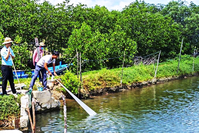 Nuôi loài cá đặc sản này bằng thức ăn công nghiệp, nông dân Khánh Hòa mau được bán - Ảnh 1.