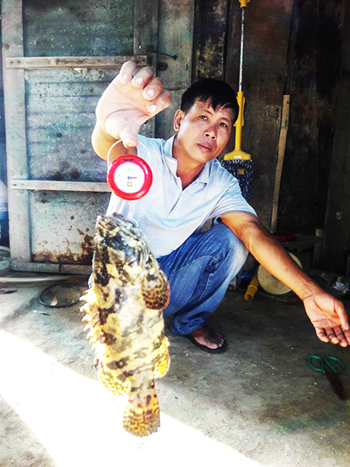 Nuôi loài cá đặc sản này bằng thức ăn công nghiệp, nông dân Khánh Hòa mau được bán - Ảnh 4.