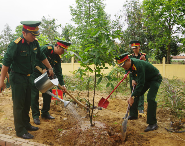 Phát triển mai vàng Huế thành thương hiệu nổi tiếng như hoa anh đào Nhật Bản  - Ảnh 2.