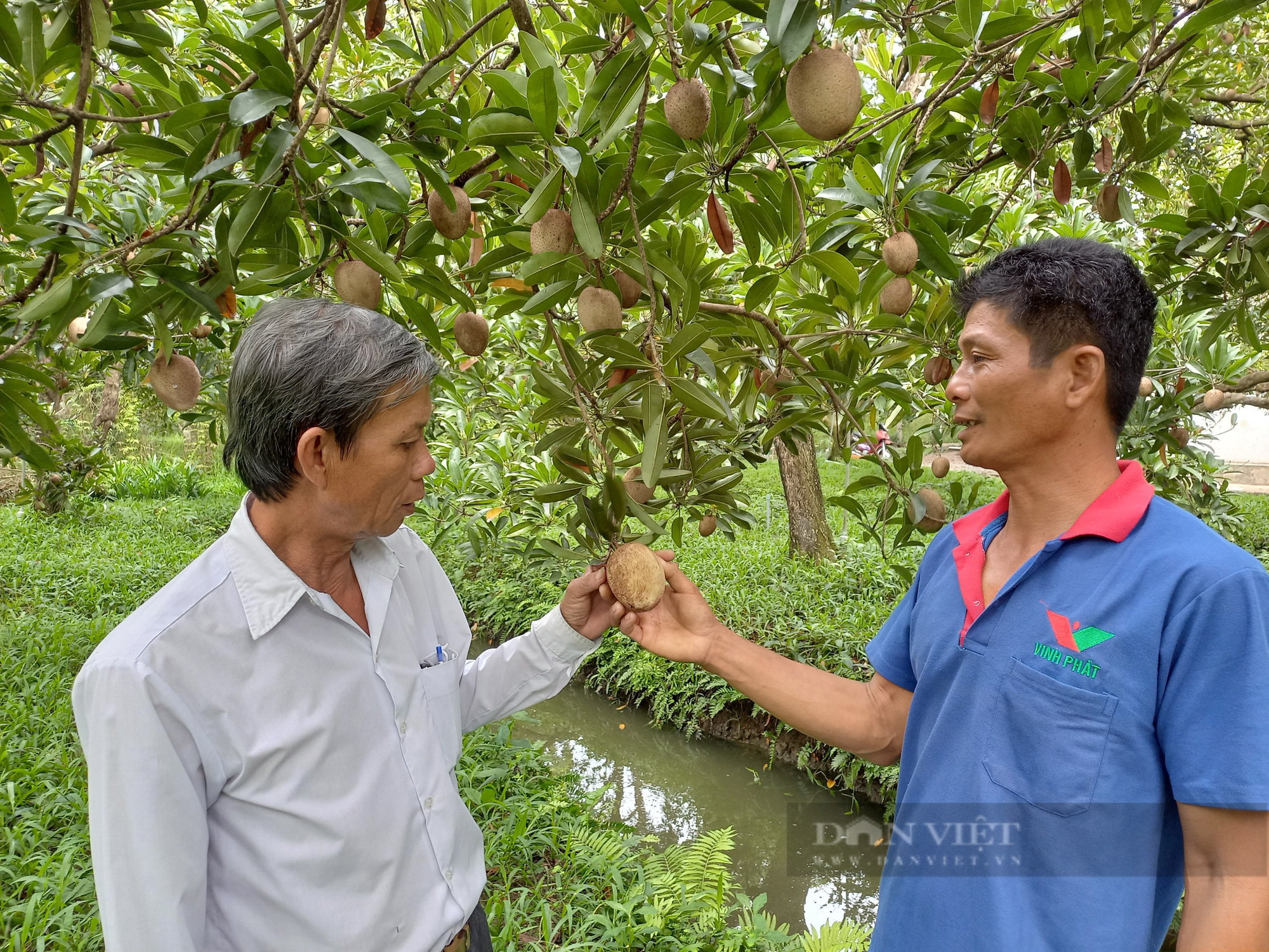 Tiền Giang: Bỏ “hạt ngọc trời”,  trồng đặc sản cho trái bự chảng, anh nông dân xây biệt phủ vườn - Ảnh 2.